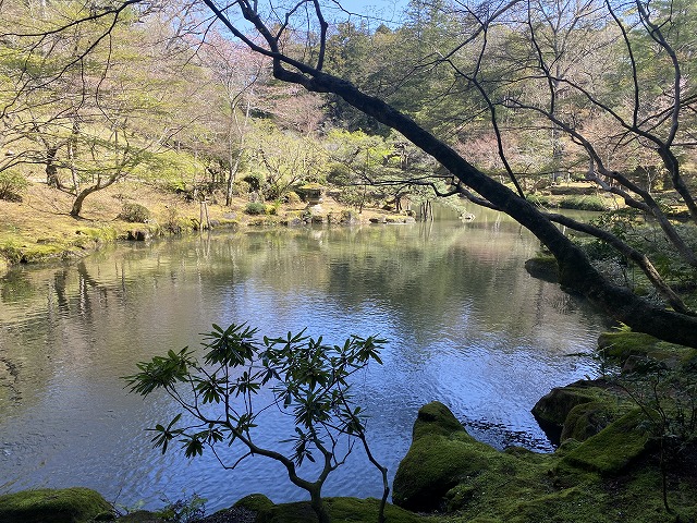 成田山新勝寺(平和大塔)　公園池