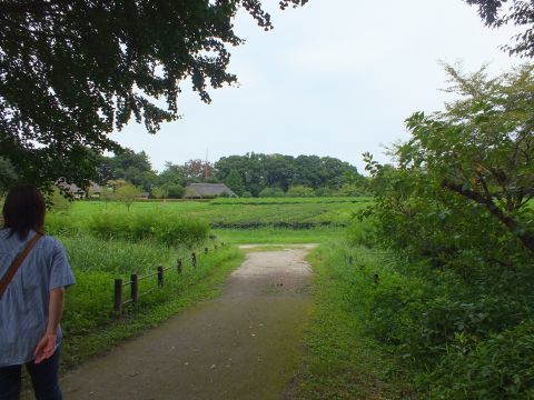 遊歩道をぐるっと歩いてもうすぐひと回りの所です。旧飛田家住宅、旧中山家住宅があり、その前方は茶畑が広がっています。