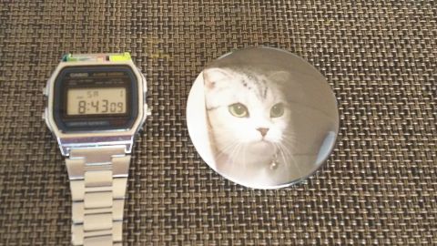 腕時計と大きさ比較。コイデカメラの缶バッジは大サイズが500円、小サイズが400円です。このリンスコダンゴ缶バッジは大サイズです。