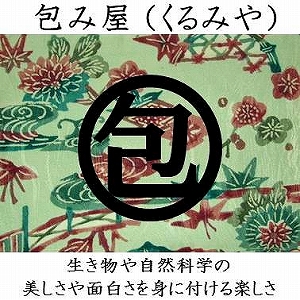 どこ博2022_包み屋ロゴ_logo