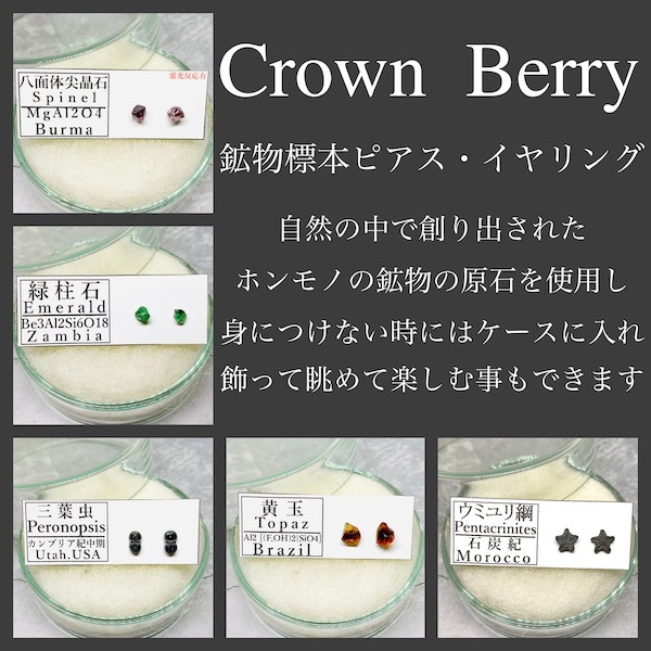 2022_Crown Berry (3)