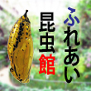 2022_logo_ふれあい昆虫館