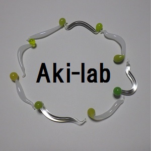 2022_Aki-lab_logo_S.jpg