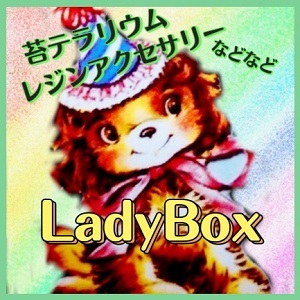 2022_LadyBox_logo_S.jpg