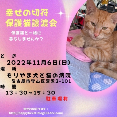 幸せの切符保護猫譲渡会 (7)