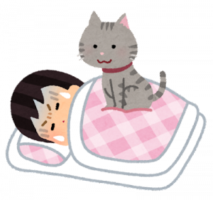 pet_cat_omoi_sleep_woman.png
