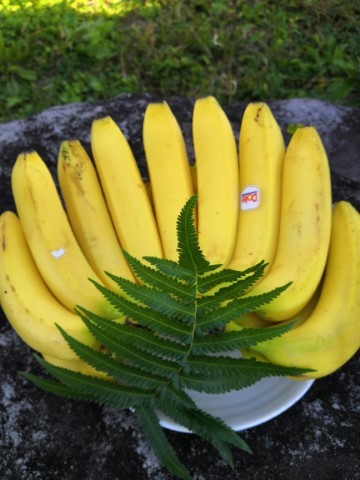 banana (小)