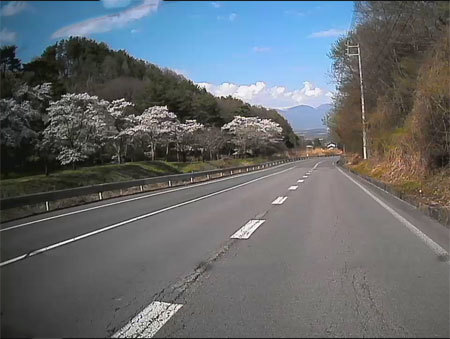 旧中山道笠取峠の桜並木