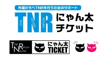 tnr-ticket-ro.jpg
