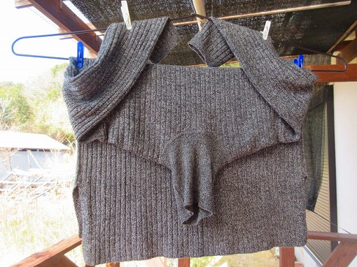 IMG_7285セーター