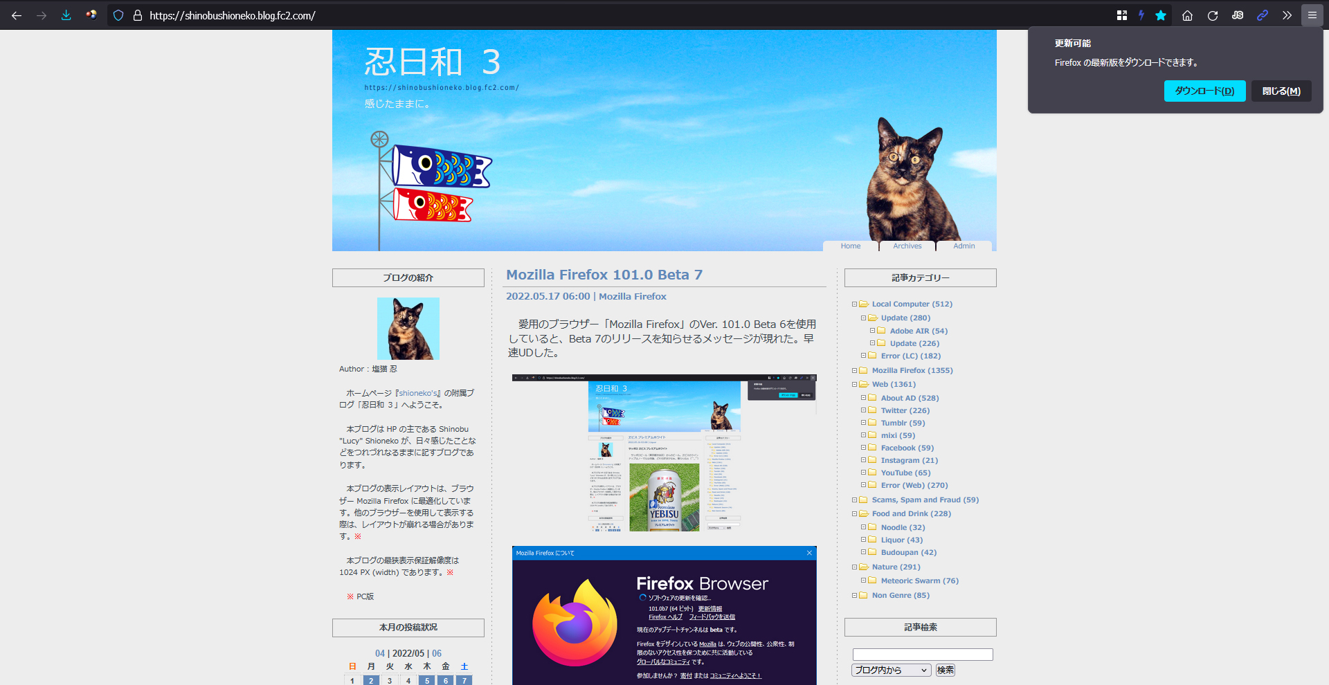 Mozilla Firefox 101.0 Beta 8