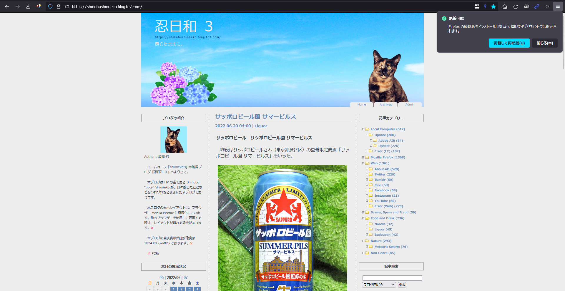 Mozilla Firefox 102.0 RC 1