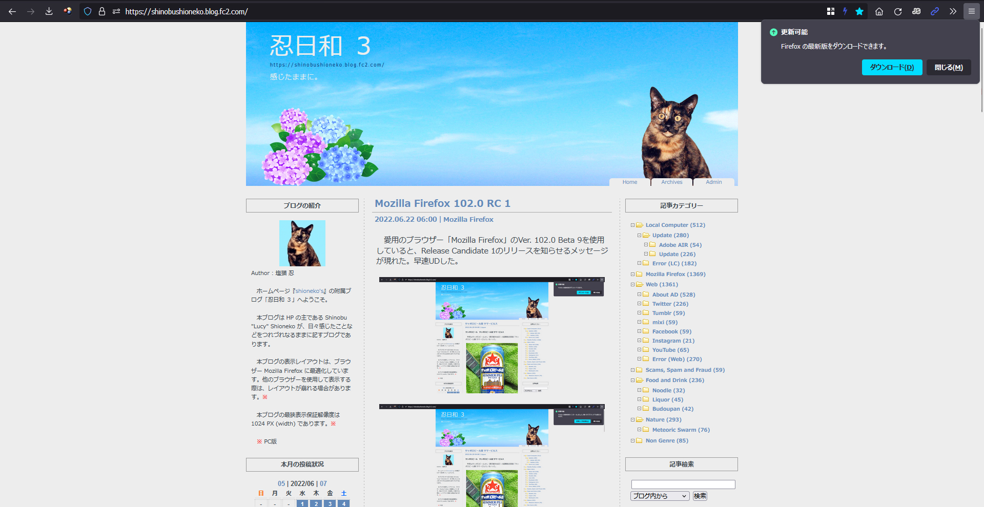 Mozilla Firefox 102.0 RC 2
