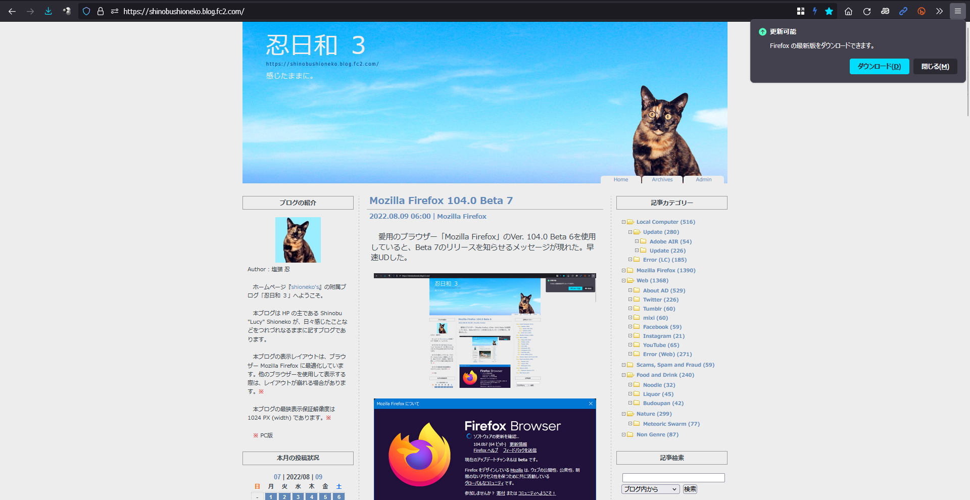 Mozilla Firefox 104.0 Beta 8