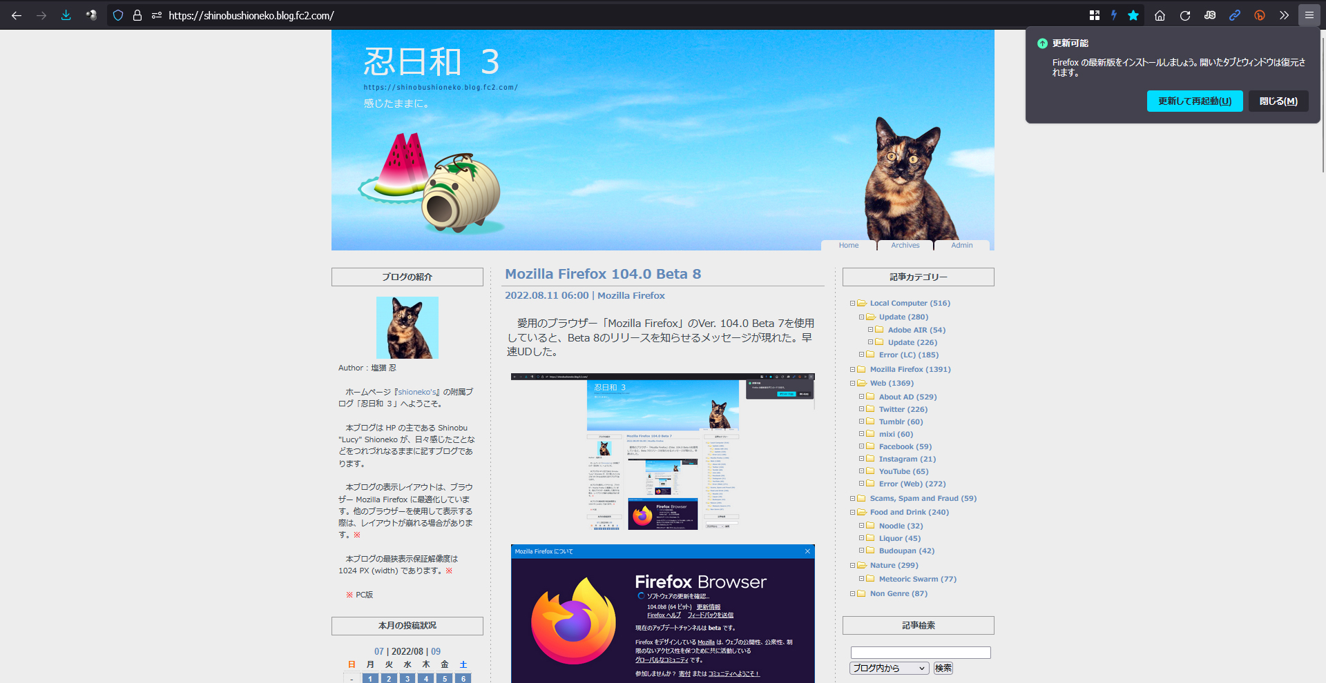 Mozilla Firefox 104.0 RC 1