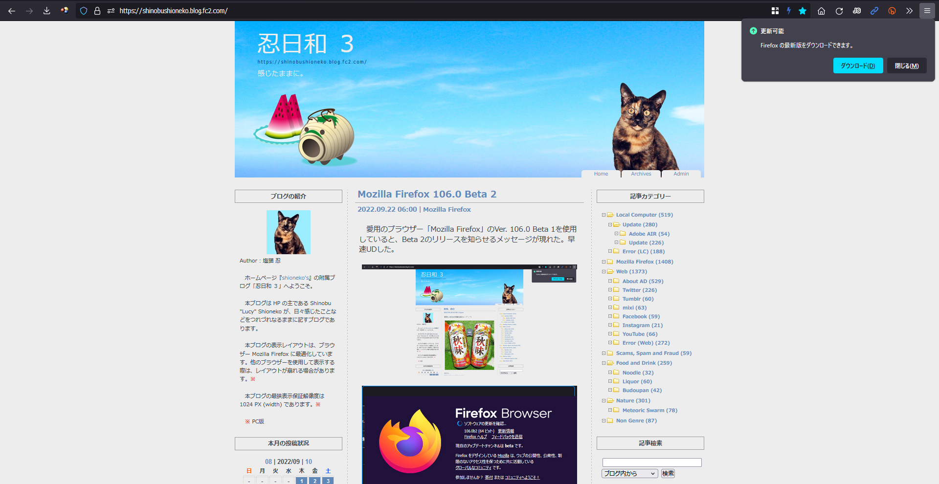 Mozilla Firefox 106.0 Beta 3