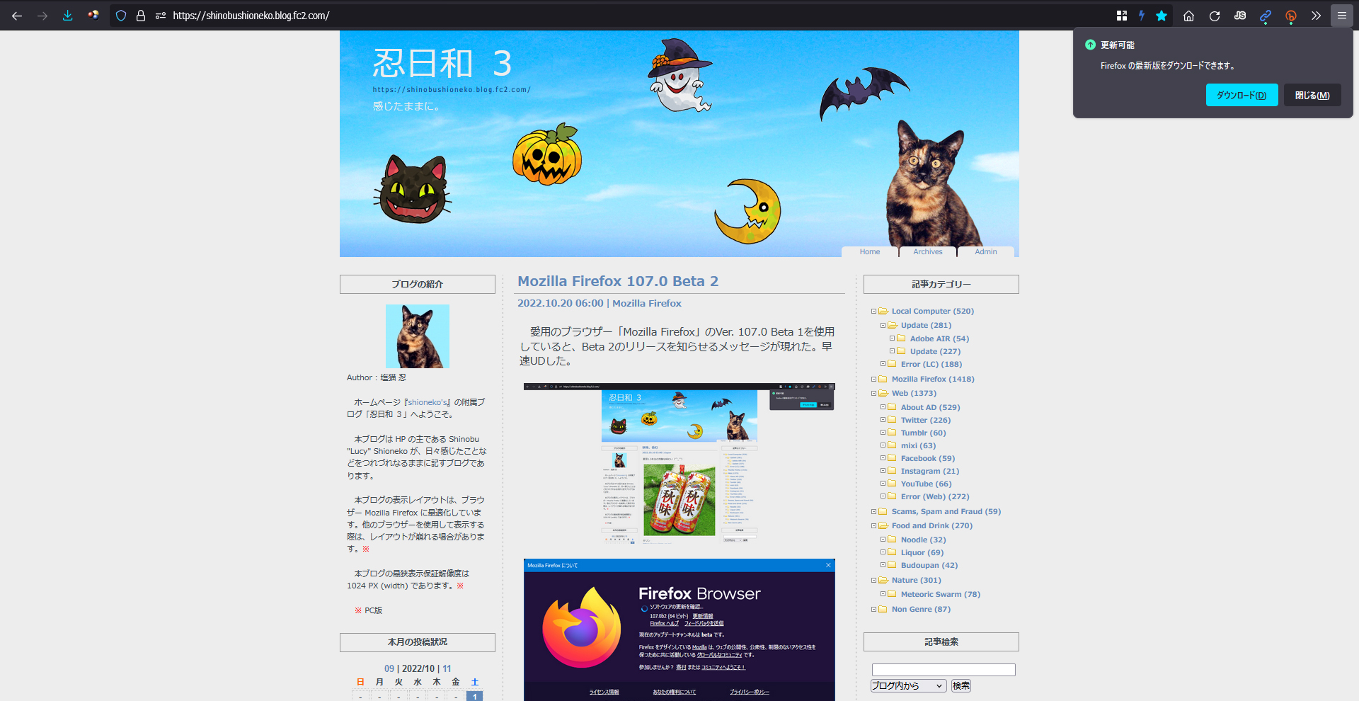 Mozilla Firefox 107.0 Beta 3