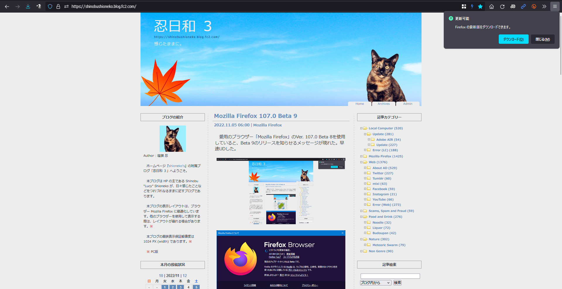 Mozilla Firefox 107.0 RC 1