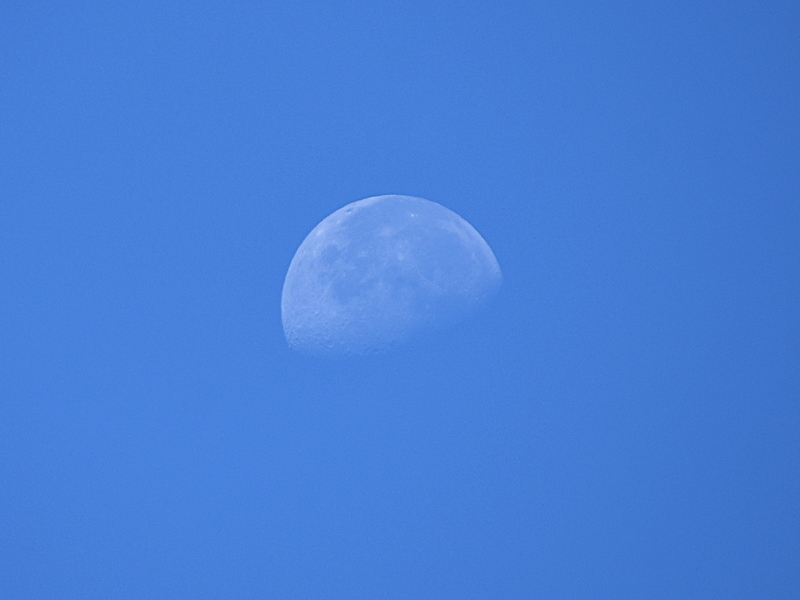 moon20220916_1.jpg