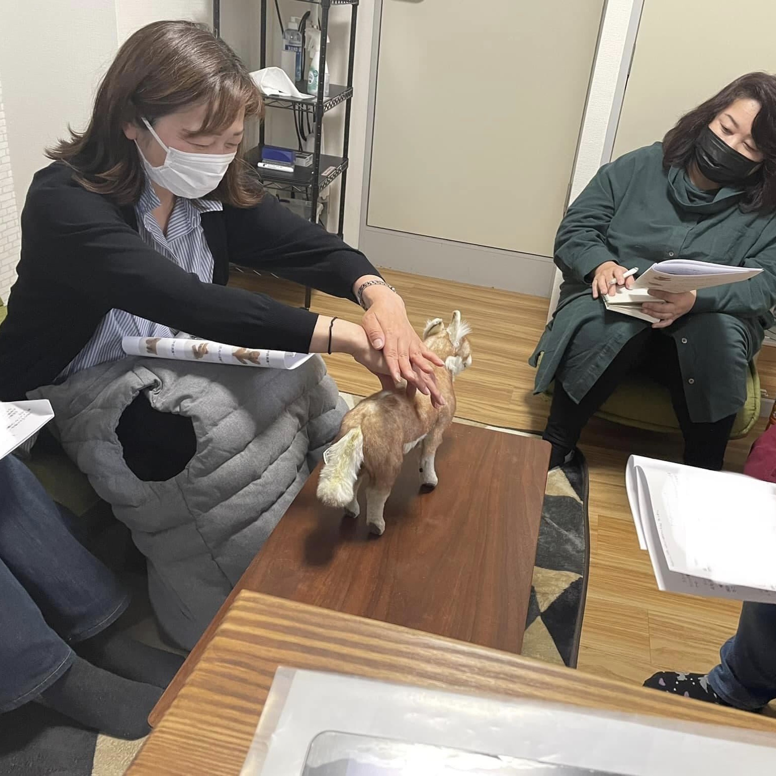 埼玉県犬の整体マッサージ教室セミナー風景