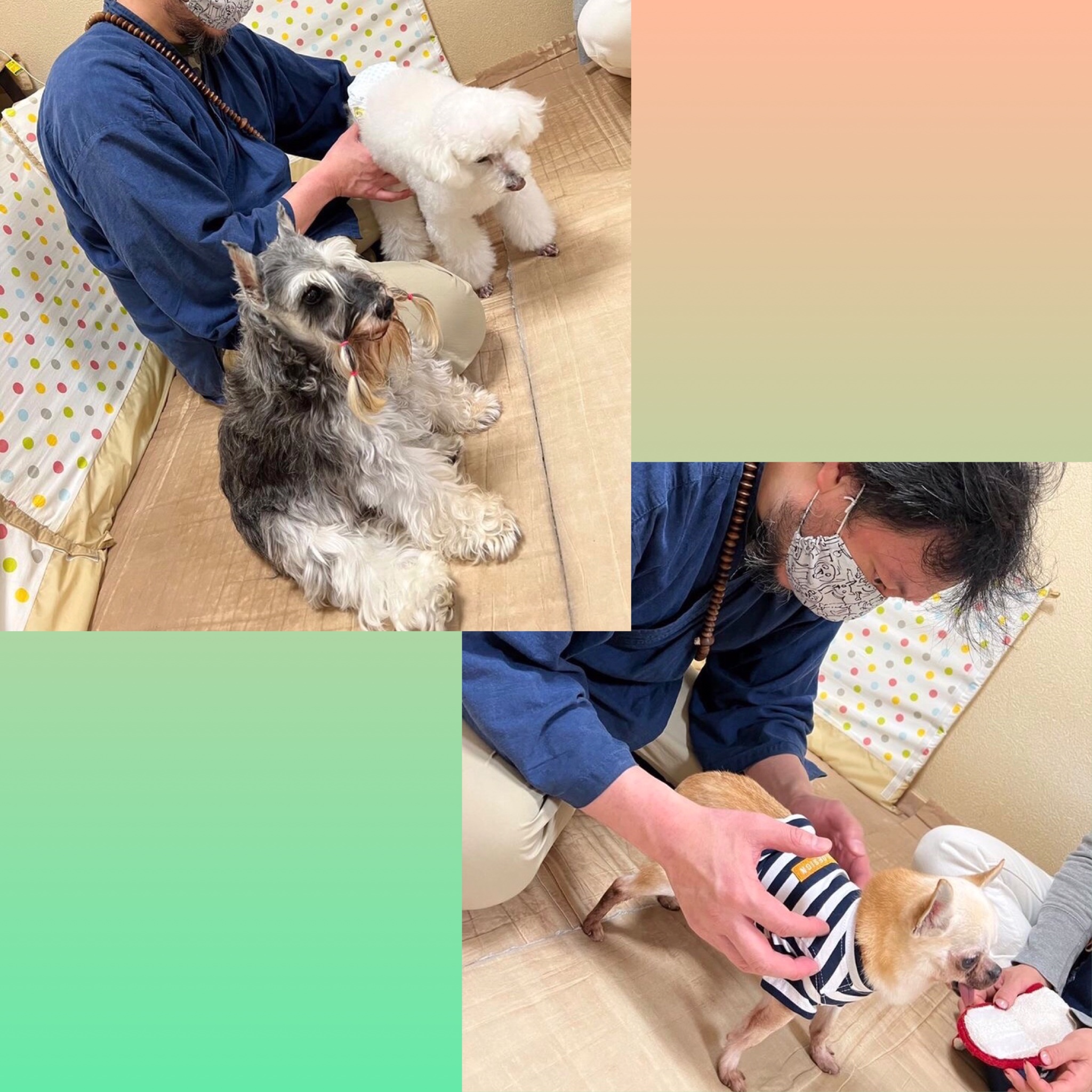 犬の整体マッサージ教室に参加された愛犬さんへの施術風景