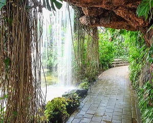 熱帯植物園２